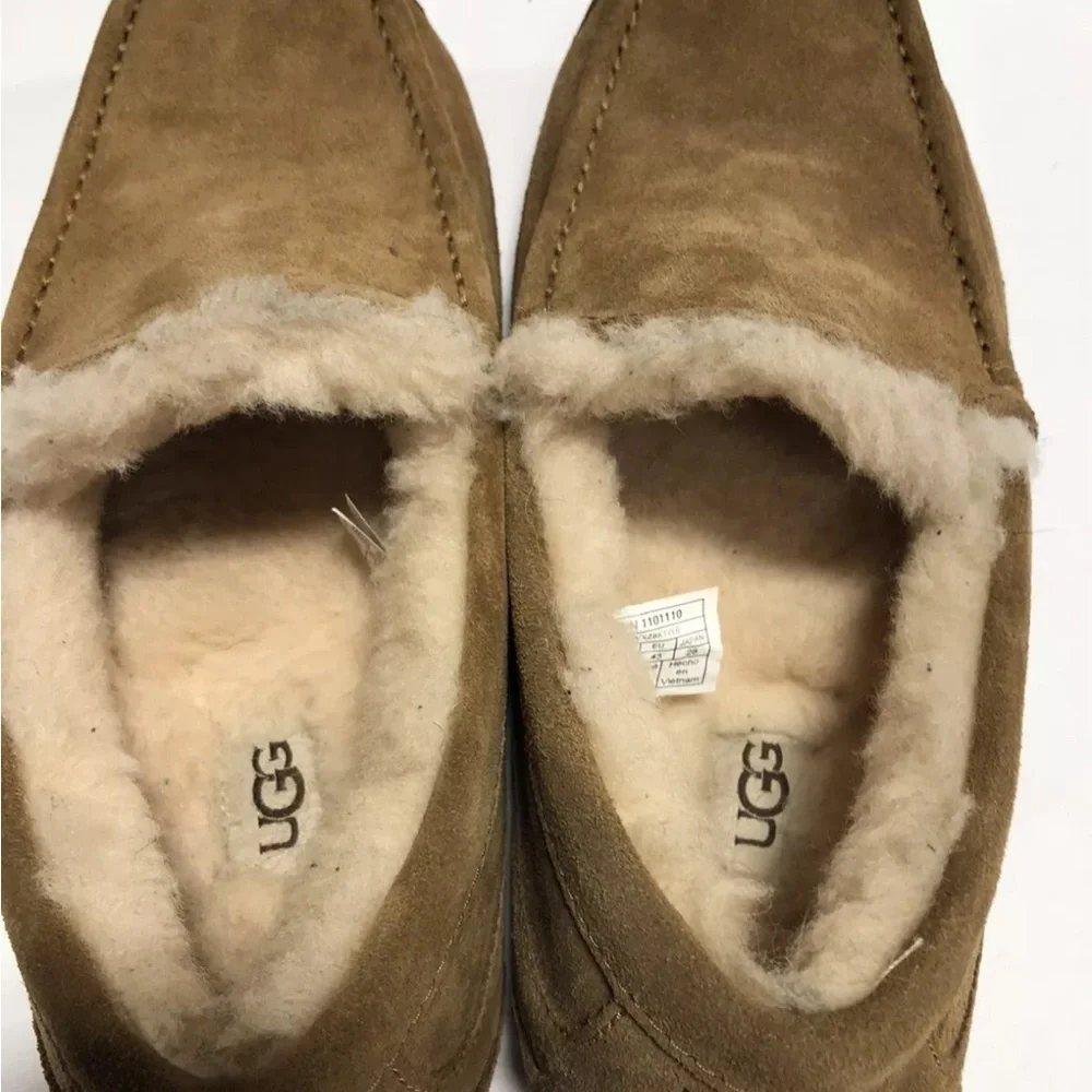 UGG great minor